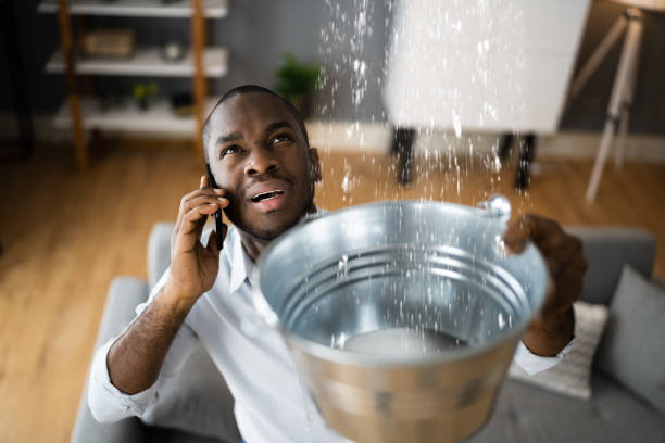 Best Emergency water extraction  in Cottonwood, AL