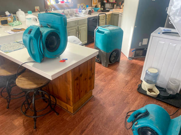 Professional Water damage restoration in AL