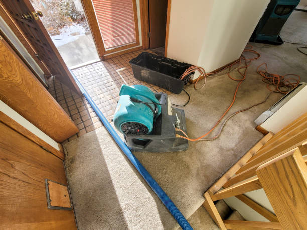 Best Emergency water damage restoration  in Cottonwood, AL