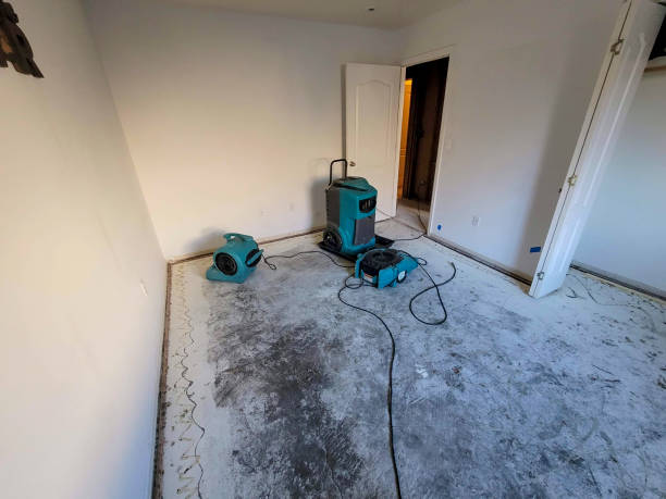 Best Commercial water damage restoration  in Cottonwood, AL