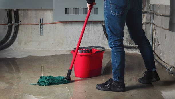 Best Mold removal after water damage  in Cottonwood, AL