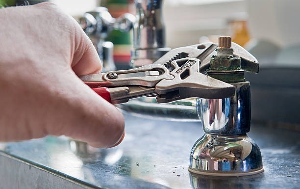 Best Water damage restoration insurance claims  in Cottonwood, AL