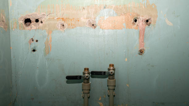 Best Water damage contractors near me  in Cottonwood, AL