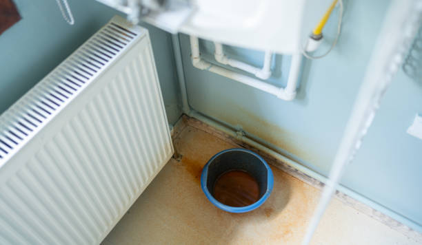 Best Water damage cleanup near me  in Cottonwood, AL