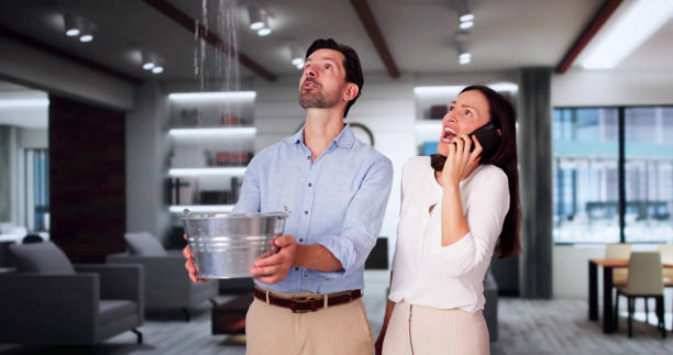 Best Professional water damage repair  in Cottonwood, AL
