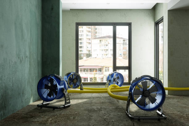 Water damage restoration process in AL